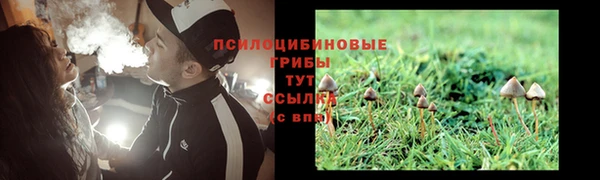 молекула духа Верхний Тагил