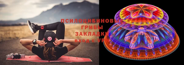 тгк Верея